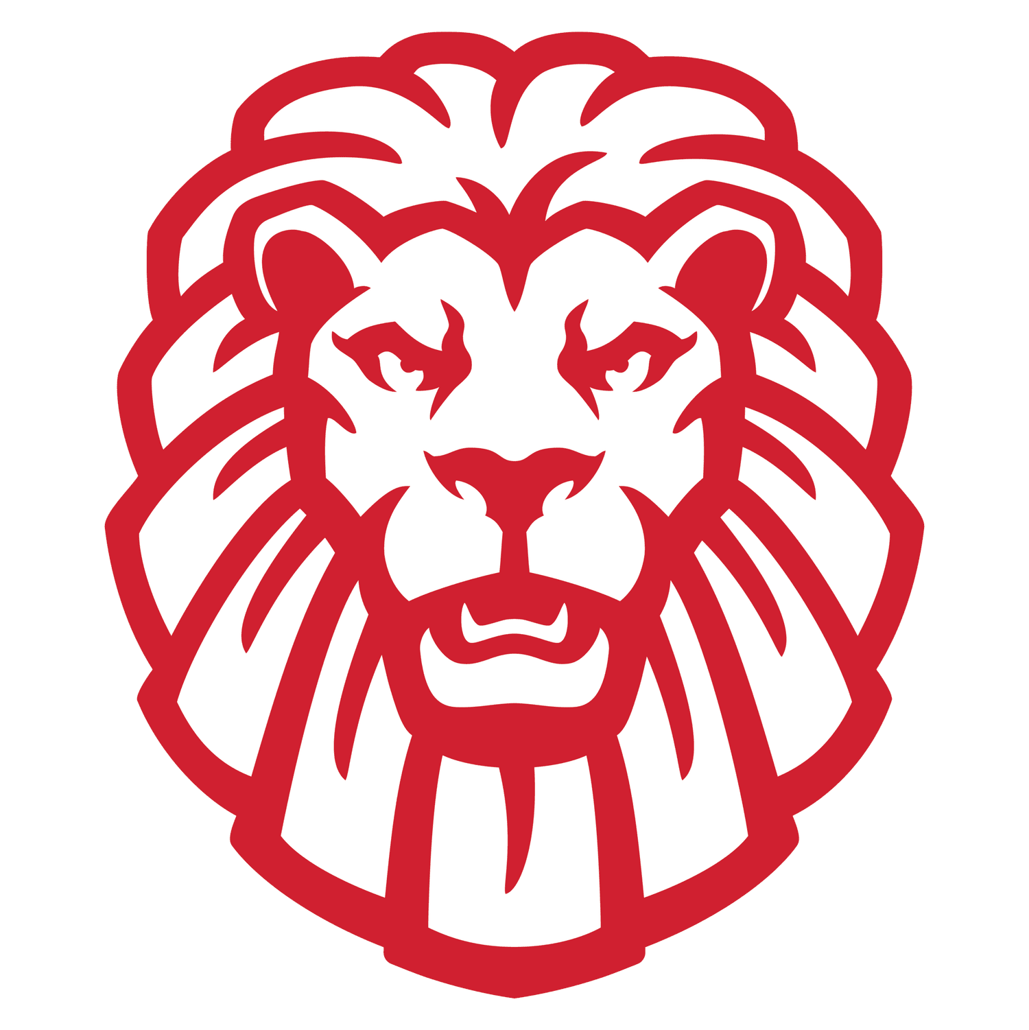 New Lion Media Group